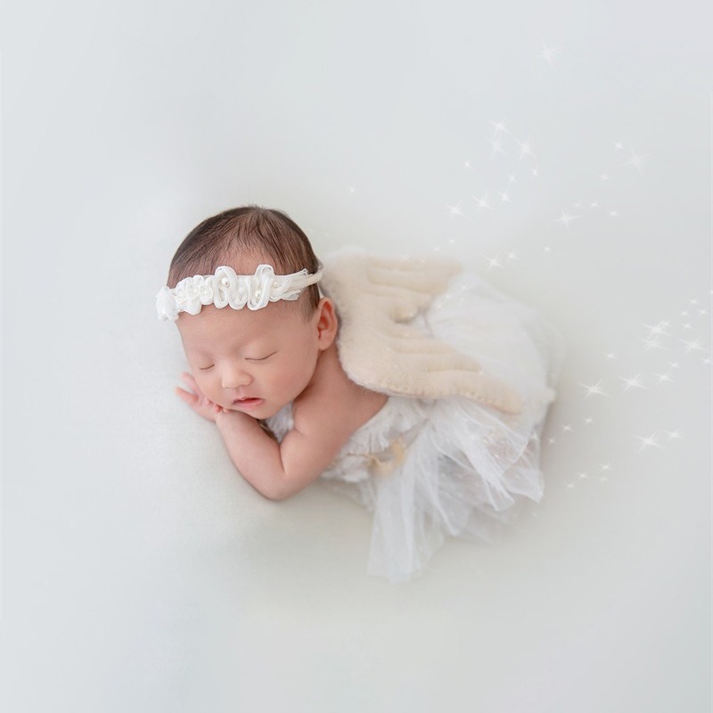 Newborn Photography Prop Swan  - огляд і ціна Photography Day